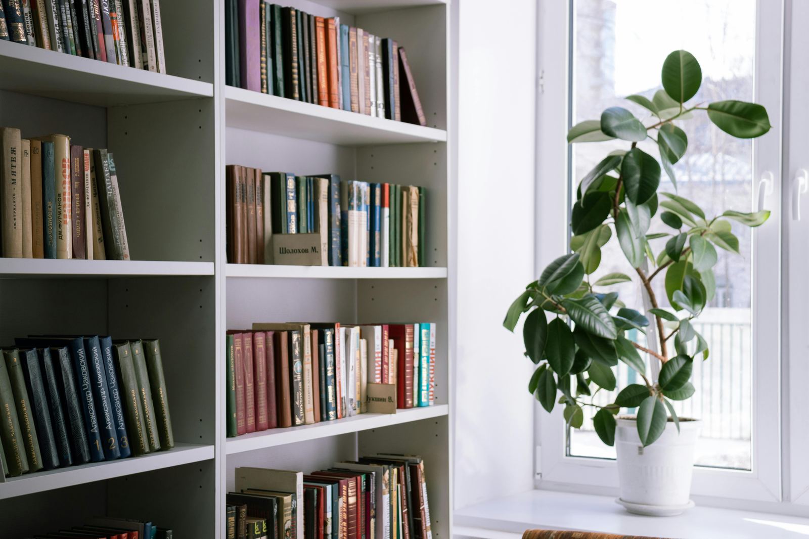 A clean, modern kitchen with warm wood countertops and fresh green flowers — intentional living at home