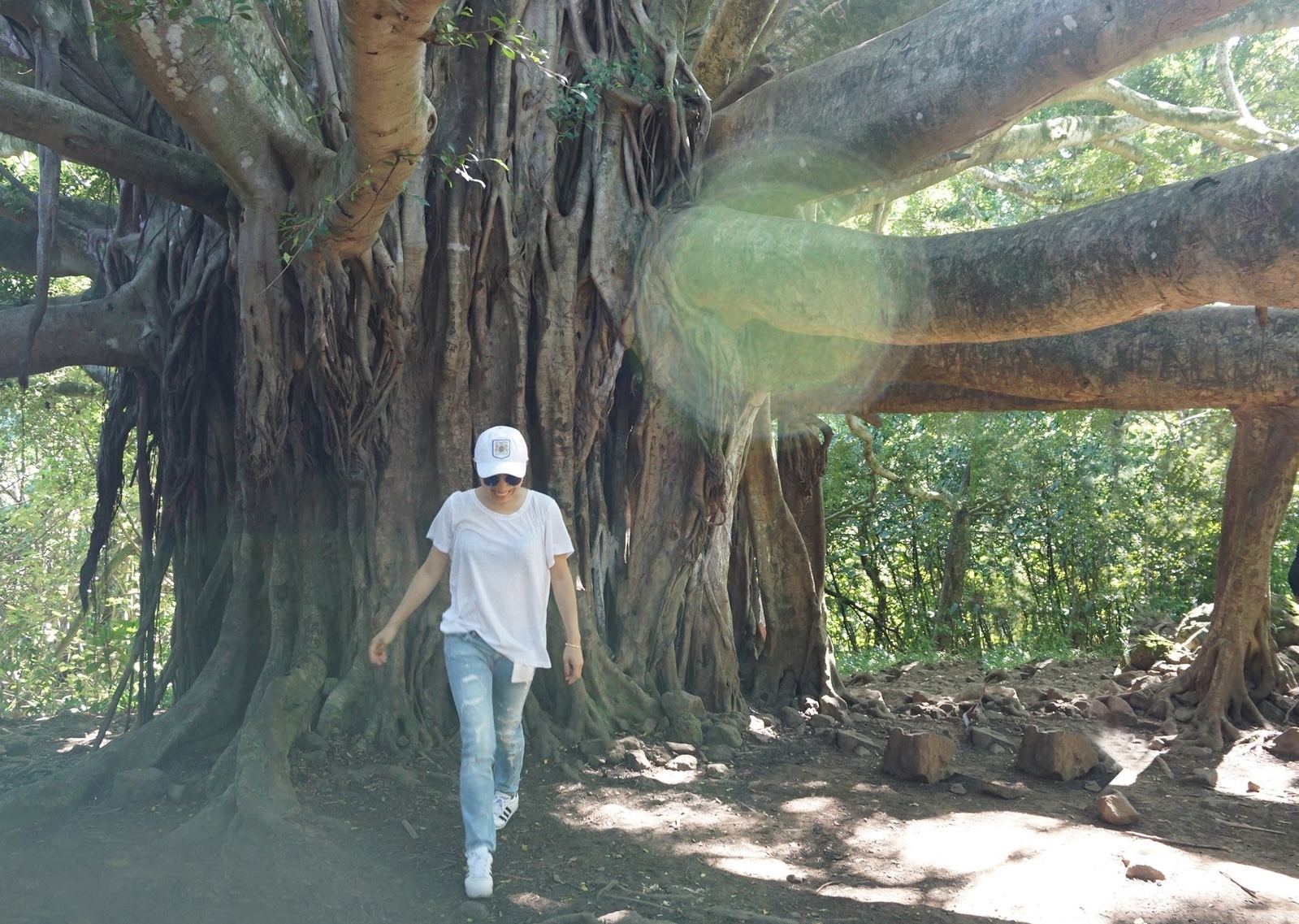 Maui — a place that hands you back to yourself