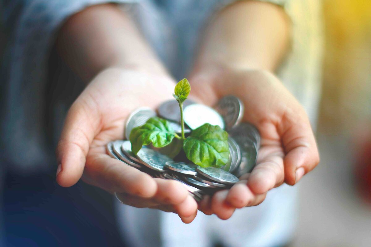 Real wealth is quieter than we expect