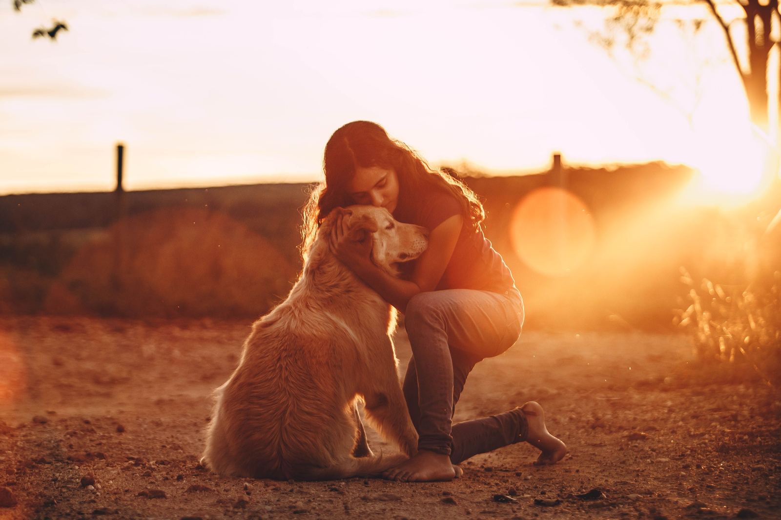 Why My Dog Knows When I'm Sad Before I Do