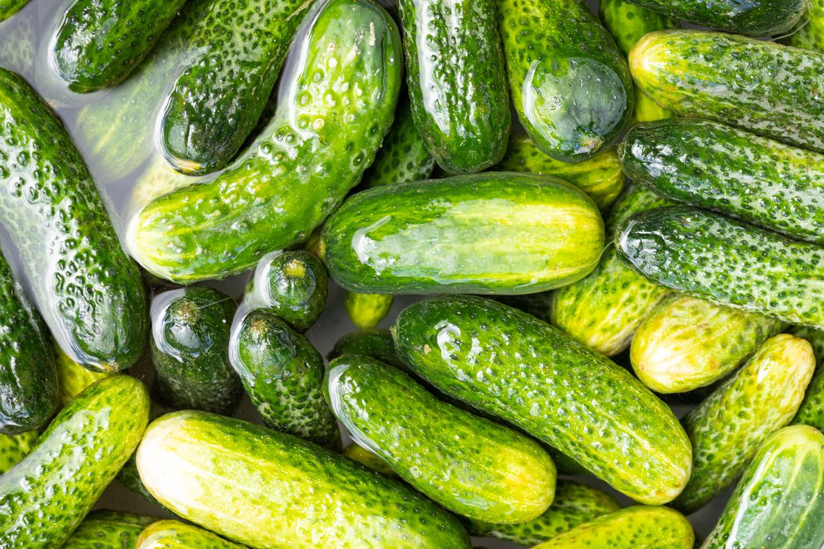 A colorful spread of fermented and whole foods that support gut and brain health