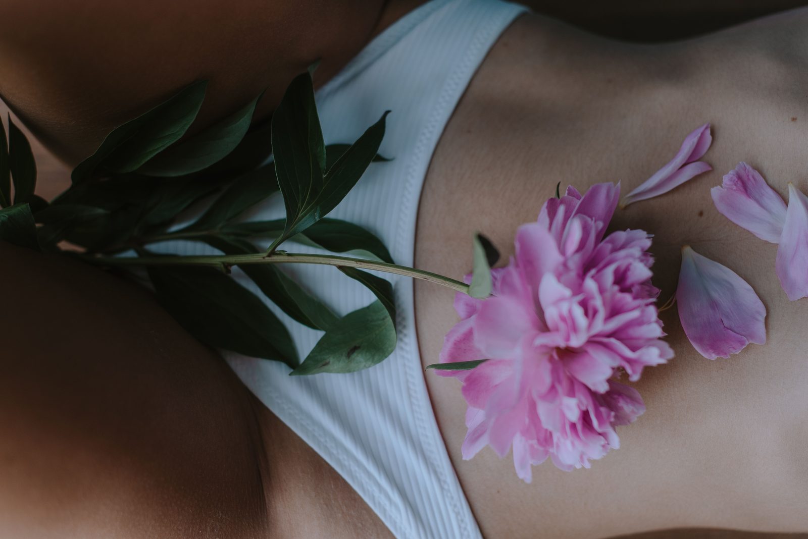 The Gut-Brain Connection: Why What You Eat Changes How You Think