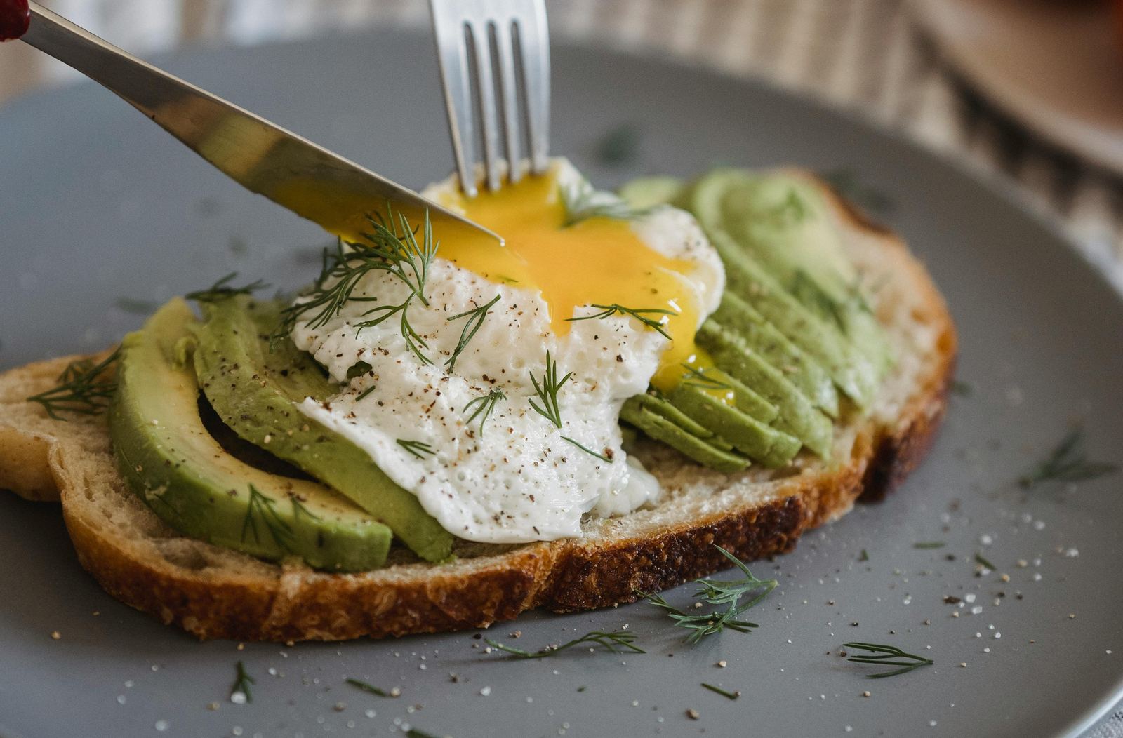 Avocado toast with fresh tomatoes