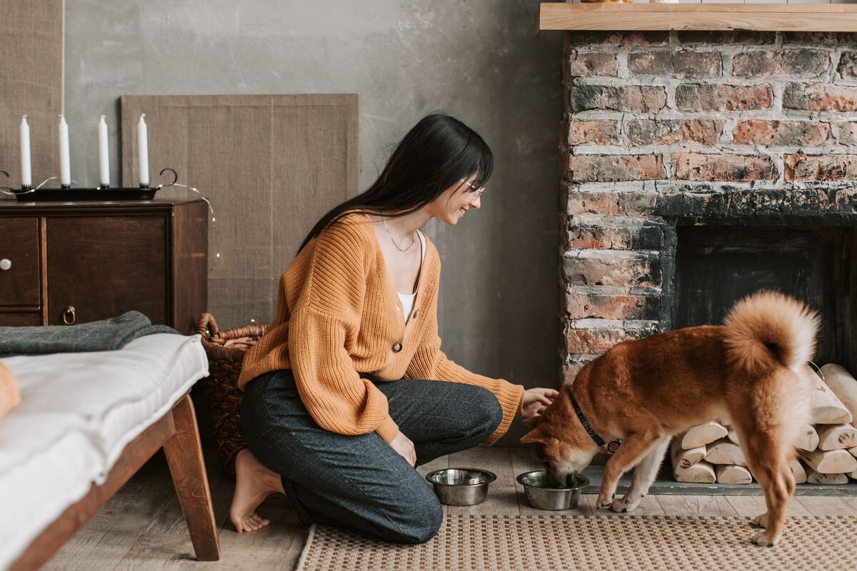 A dog and human sharing a quiet moment of connection