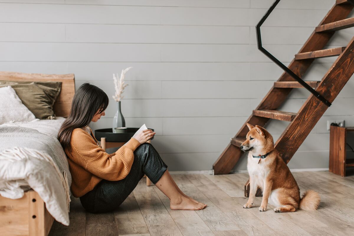 The quiet daily presence of a dog changes how we love