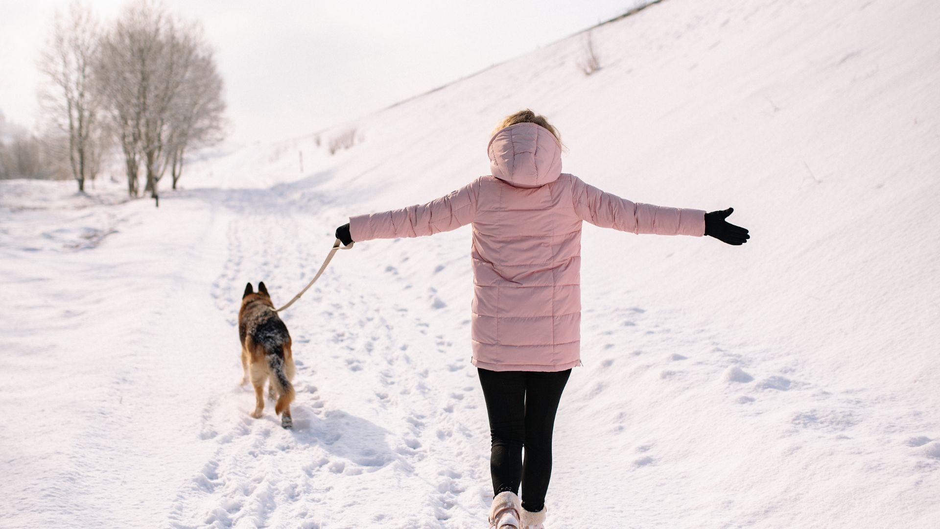 How My Labrador Became My Best Health Habit