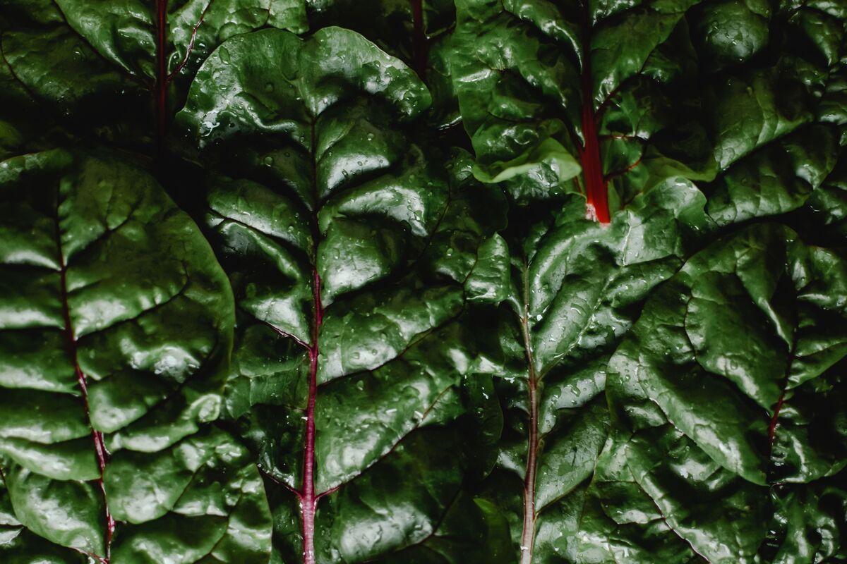 Foods that disrupt hormone balance — refined sugars, seed oils, and endocrine disruptors to be aware of