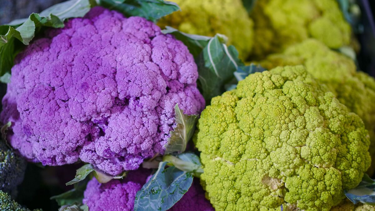 Cycle syncing nutrition — eating in alignment with your hormonal phases throughout the month