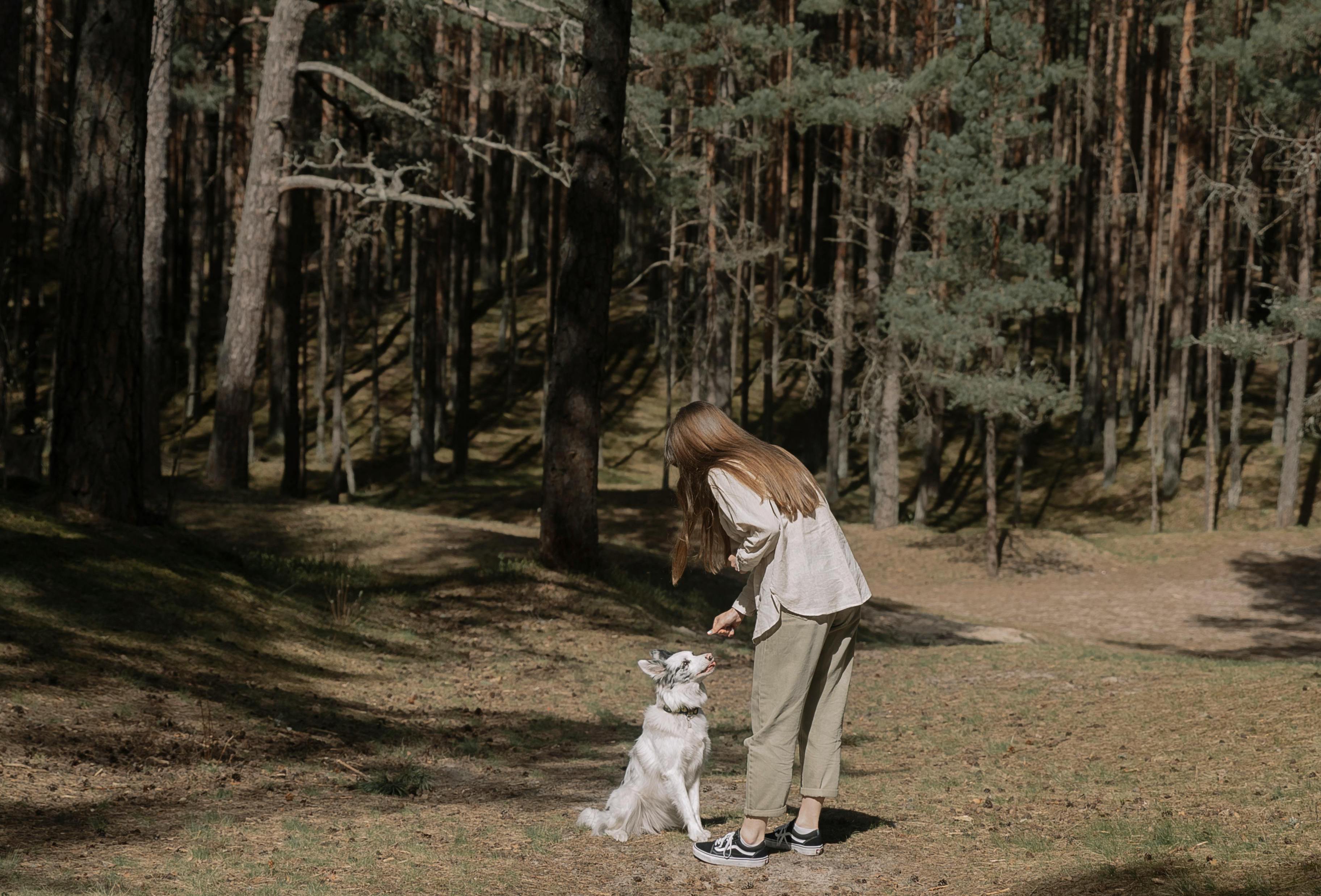 A woman in a sun-dappled forest, giving her full and unhurried attention to her dog