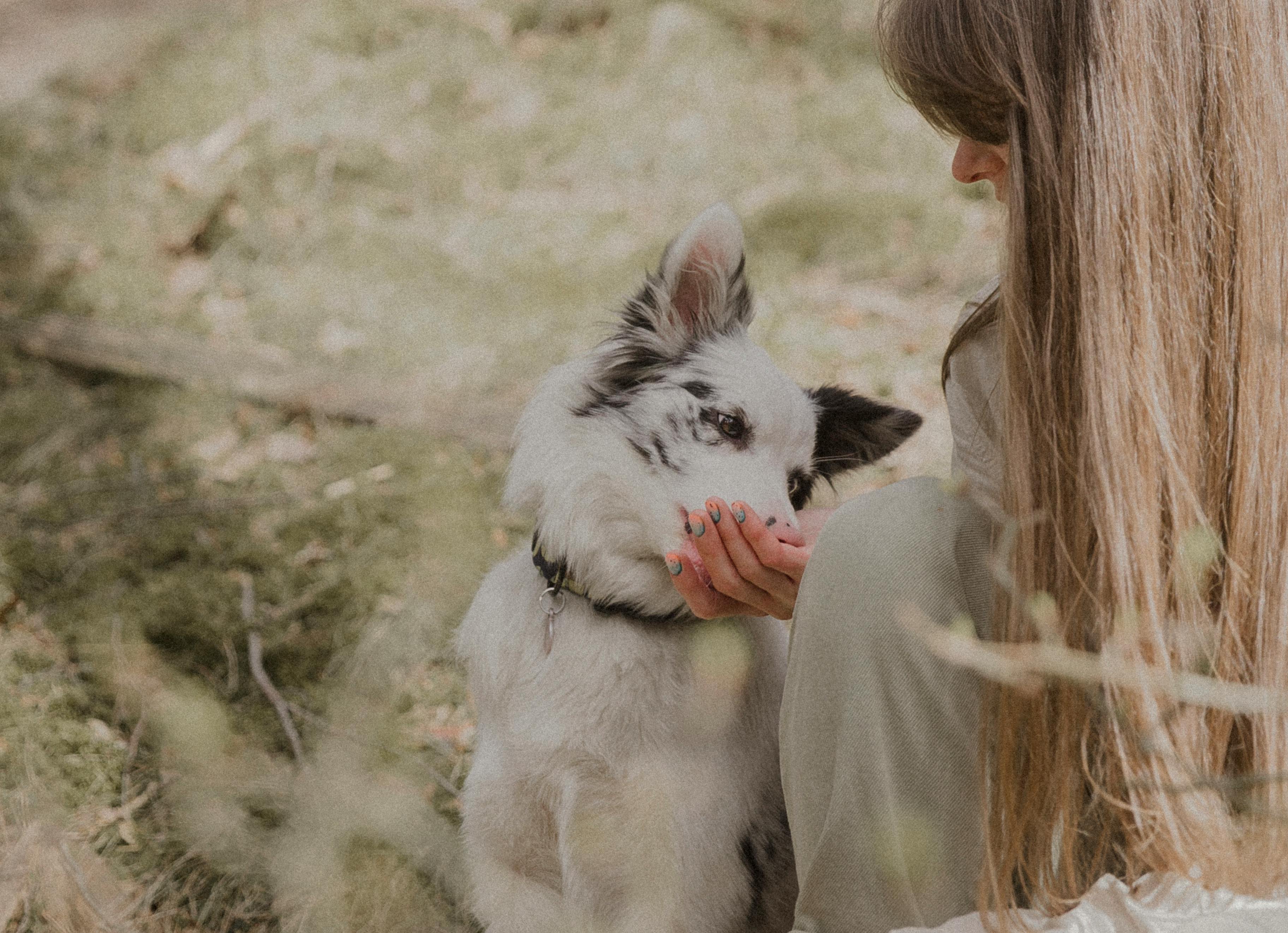 A woman cradling her dog's face in the woods, a quiet moment of mutual recognition