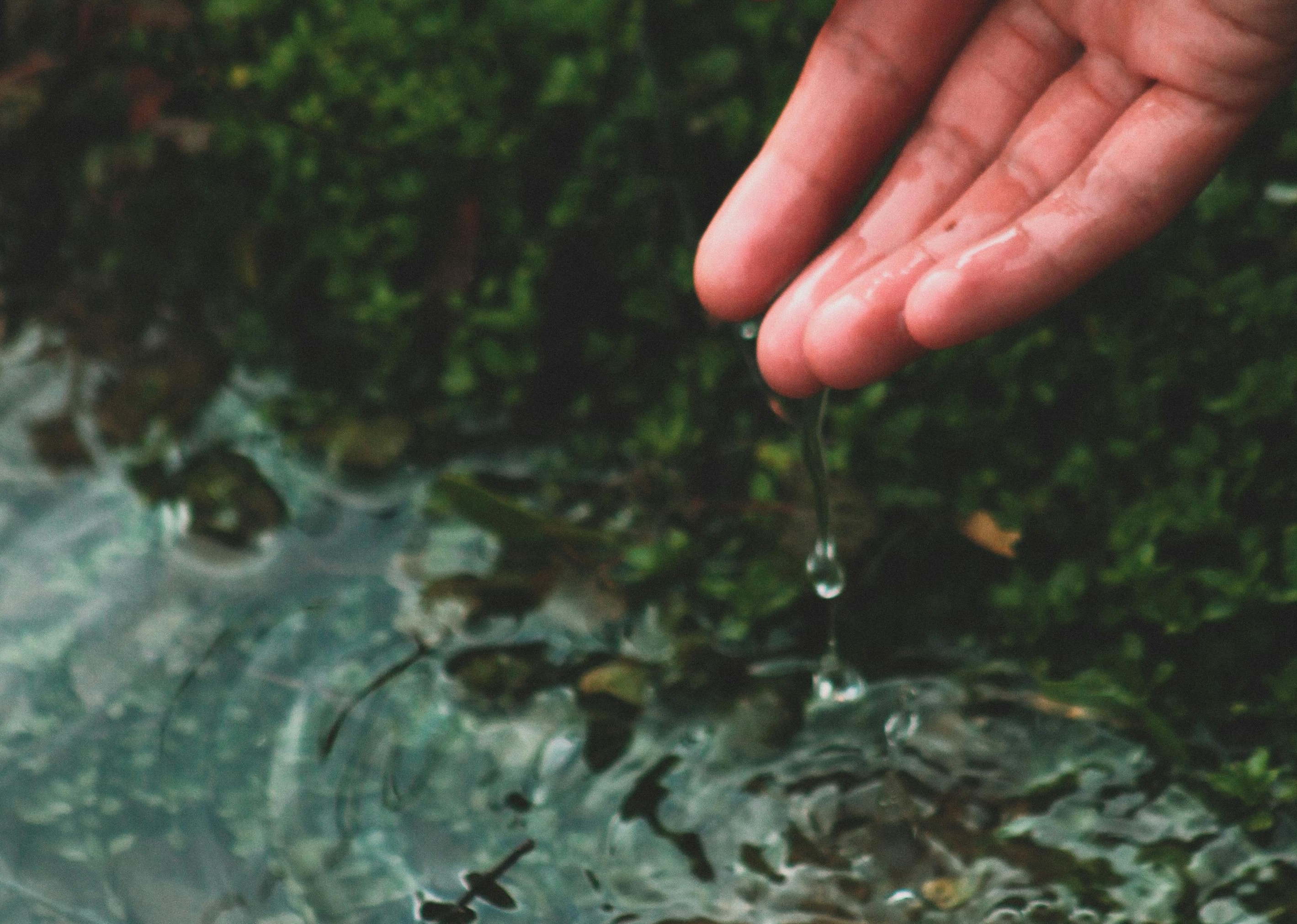 A hand releasing a water droplet into a still natural pool surrounded by green moss