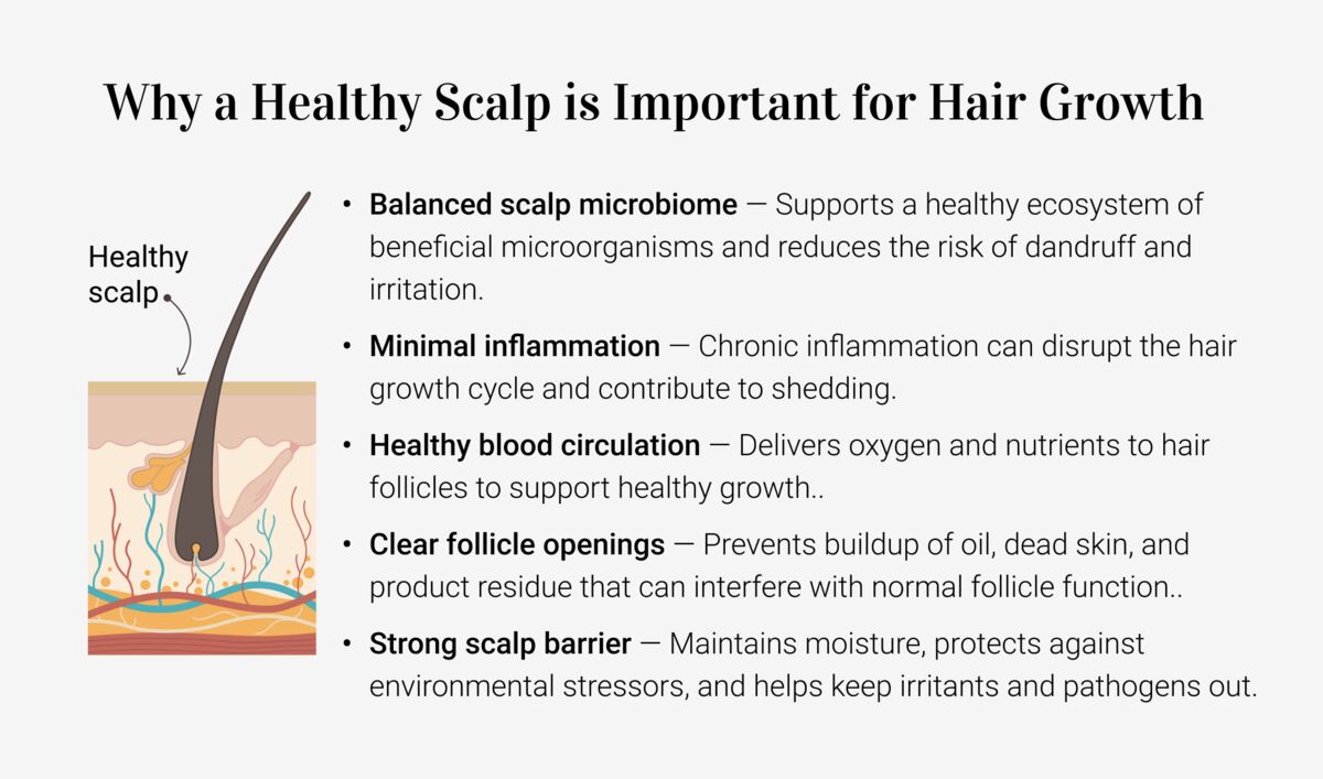 Healthy scalp and hair care ingredients